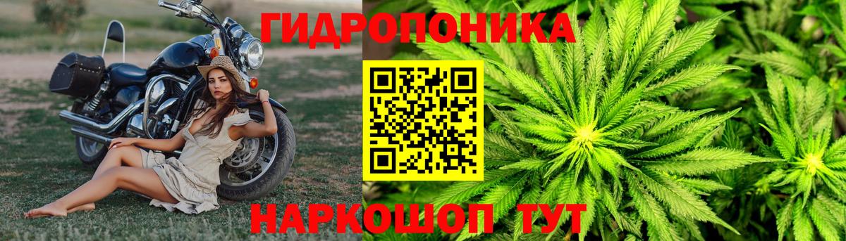 МАРИХУАНА THC 21%  Вход с VPN  Астрахань  Марихуана VHQ  Канабис марихуана 